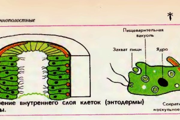 Кракен сыл ссылка