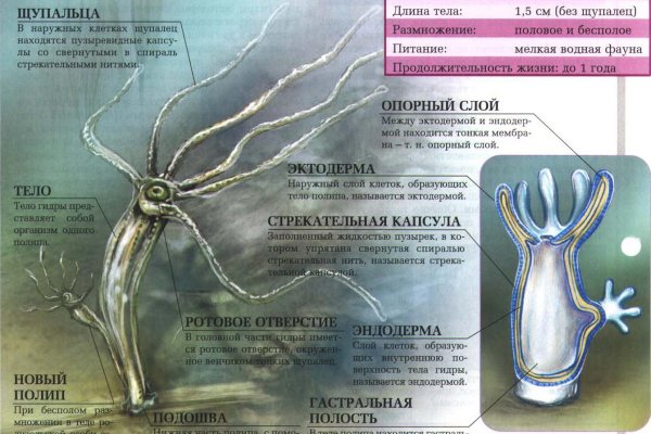 Как найти официальный сайт кракен