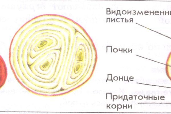 Кракен пользователь не найден что делать