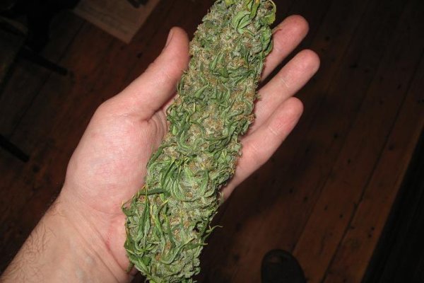 2krn at официальный