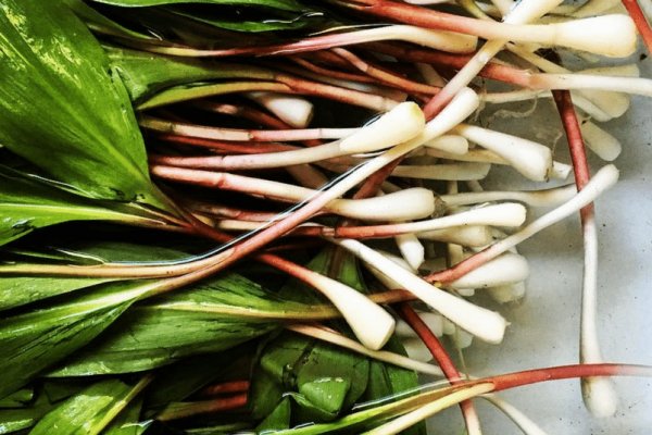 Кракен рабочая ссылка