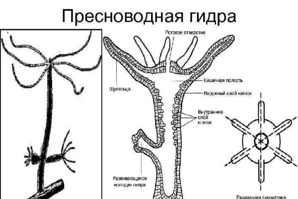 Зайти на кракен рабочее зеркало